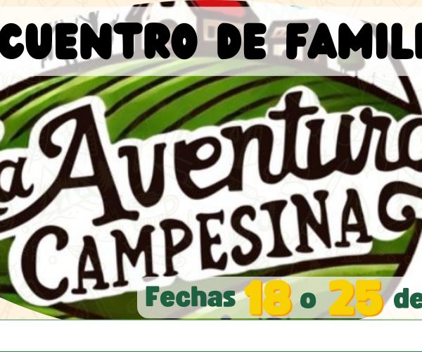 Banner Encuentro de Familias 2025