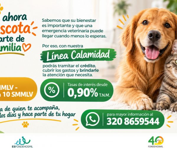 Banner Linea Calamidad