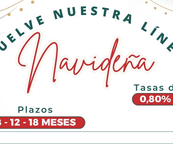 Banner Línea Navideña 2025