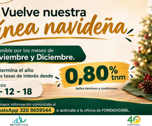 Banner Linea Navideña
